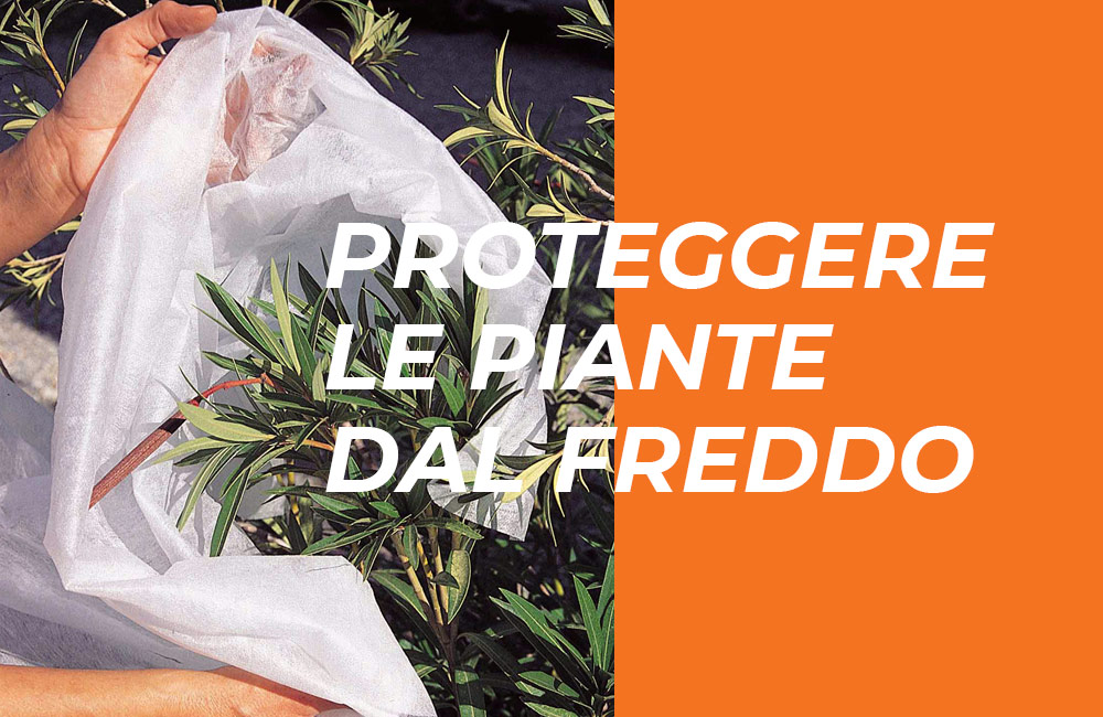 Coperture Protettive Per Piante – Confezione Da 2, 200x230 Cm, Con Cerniera E Coulisse, Antigelo E Anti Animali, Per Alberi E Arbusti