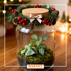 Crea un terrarium natalizio